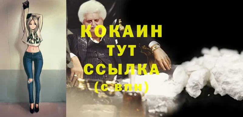 сколько стоит  Инсар  Cocaine FishScale 